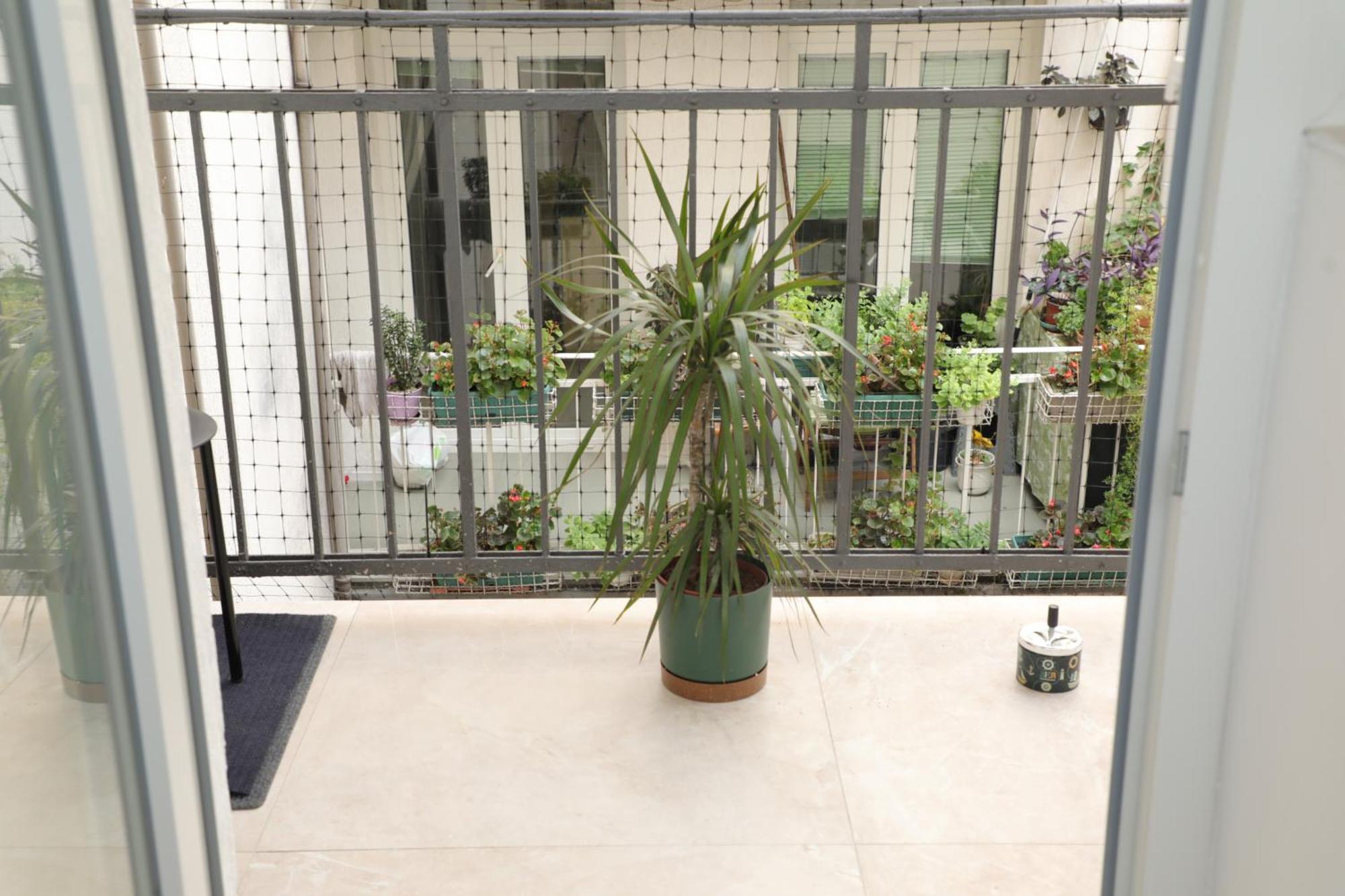 Maison Danube Belgrado Exterior foto